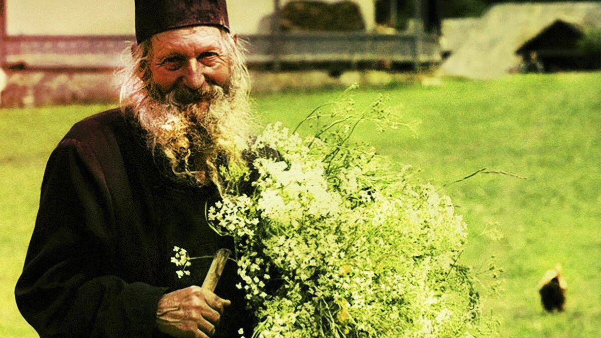 Фото взято из картинки. Яндекс
