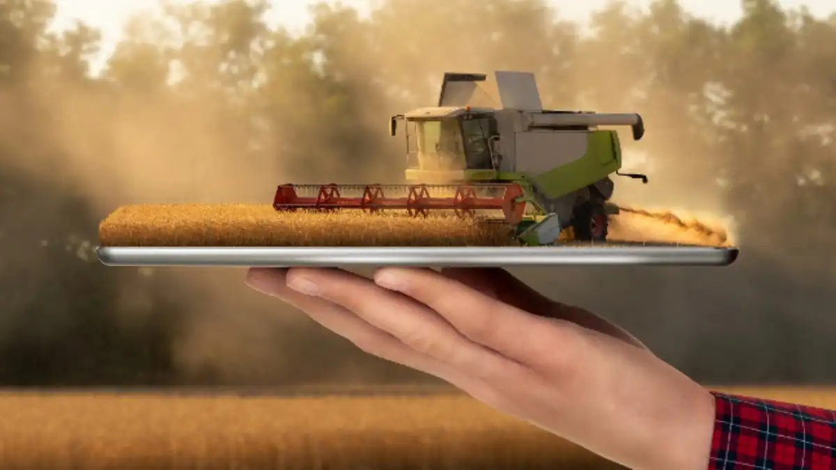 Фото:cleverfarmer.ru