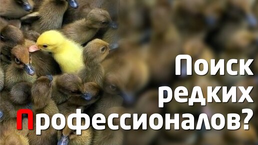 #НЕТВОРКИНГ_ ПОИСК ПРОФЕССИОНАЛОВ - ЕДИНОМЫШЛЕННИКОВ для ПРОВЕРКИ ДОКЛАДА