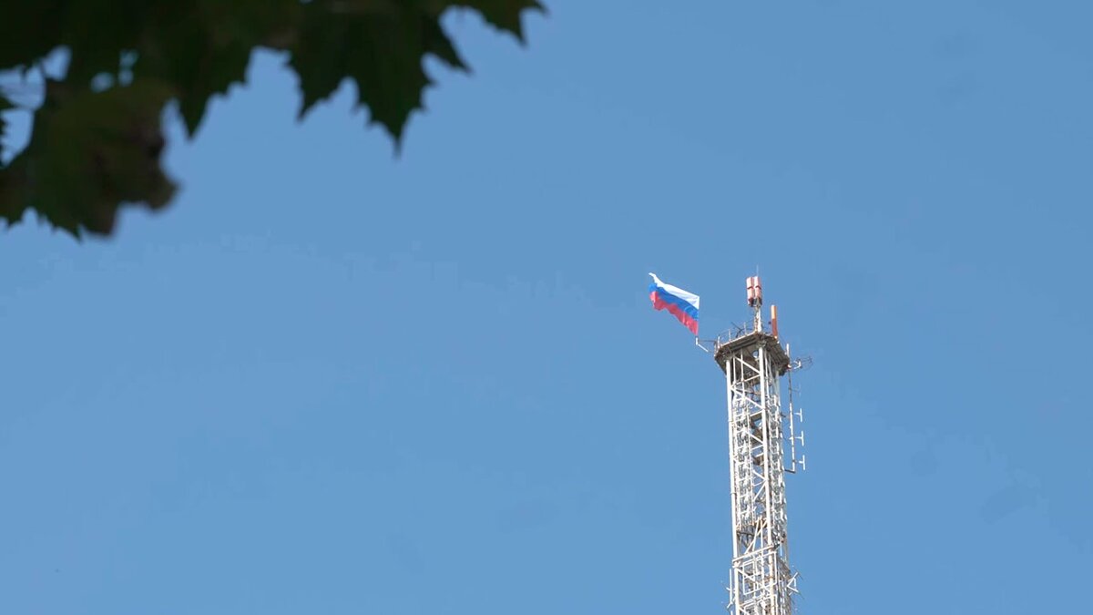 из открытых источников