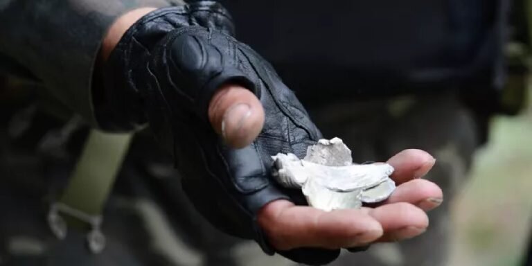 Фото: РИА «Новости» / Евгений Биятов