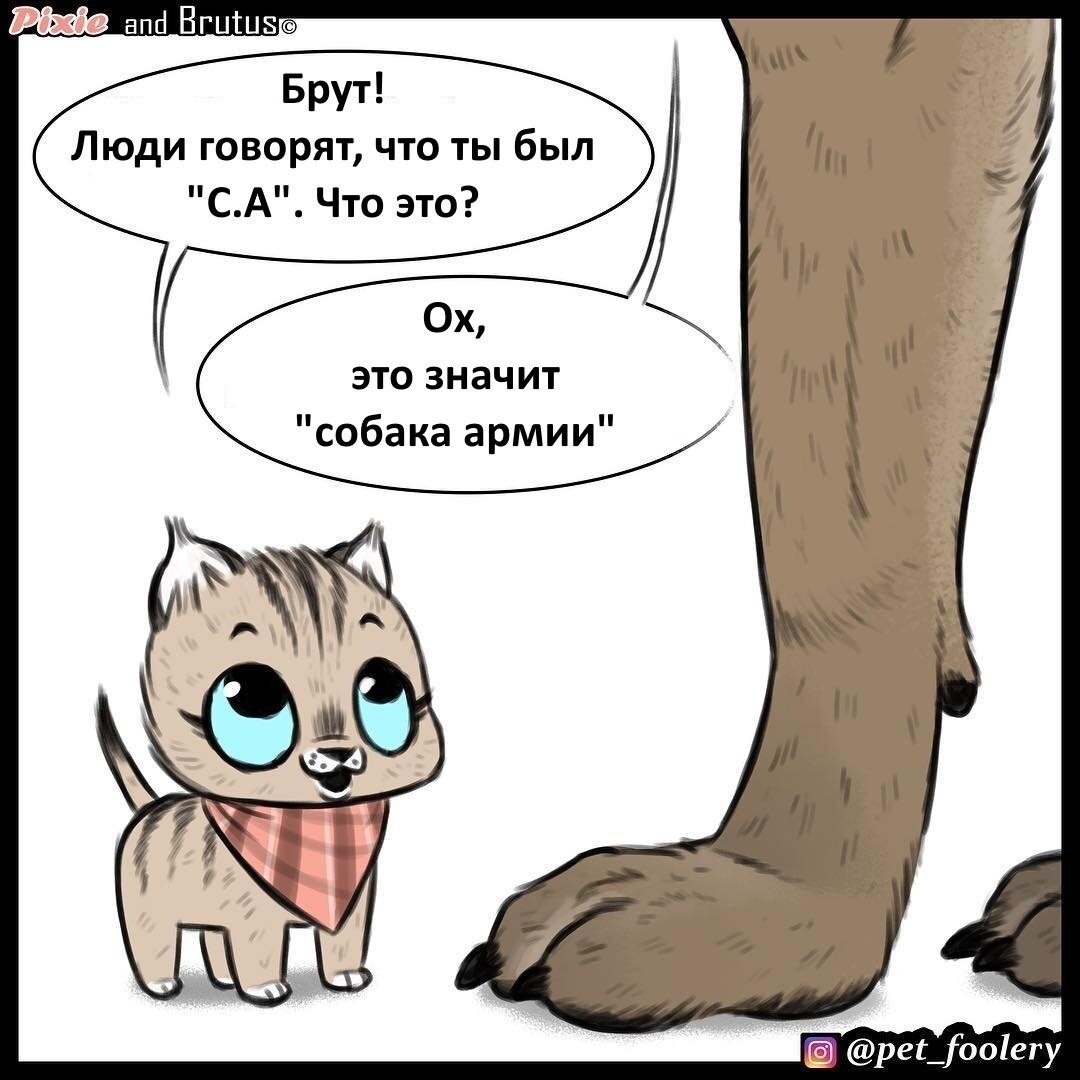 Листай Вправо >>>