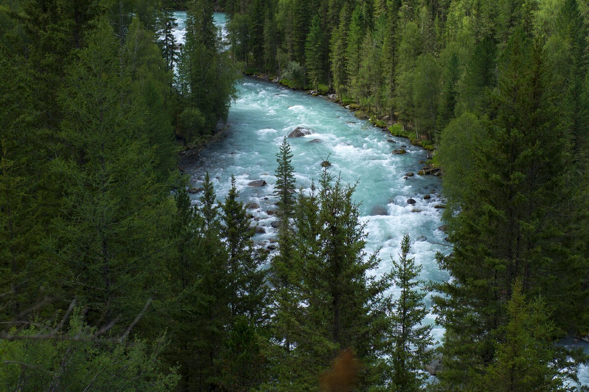 Река Кучерла