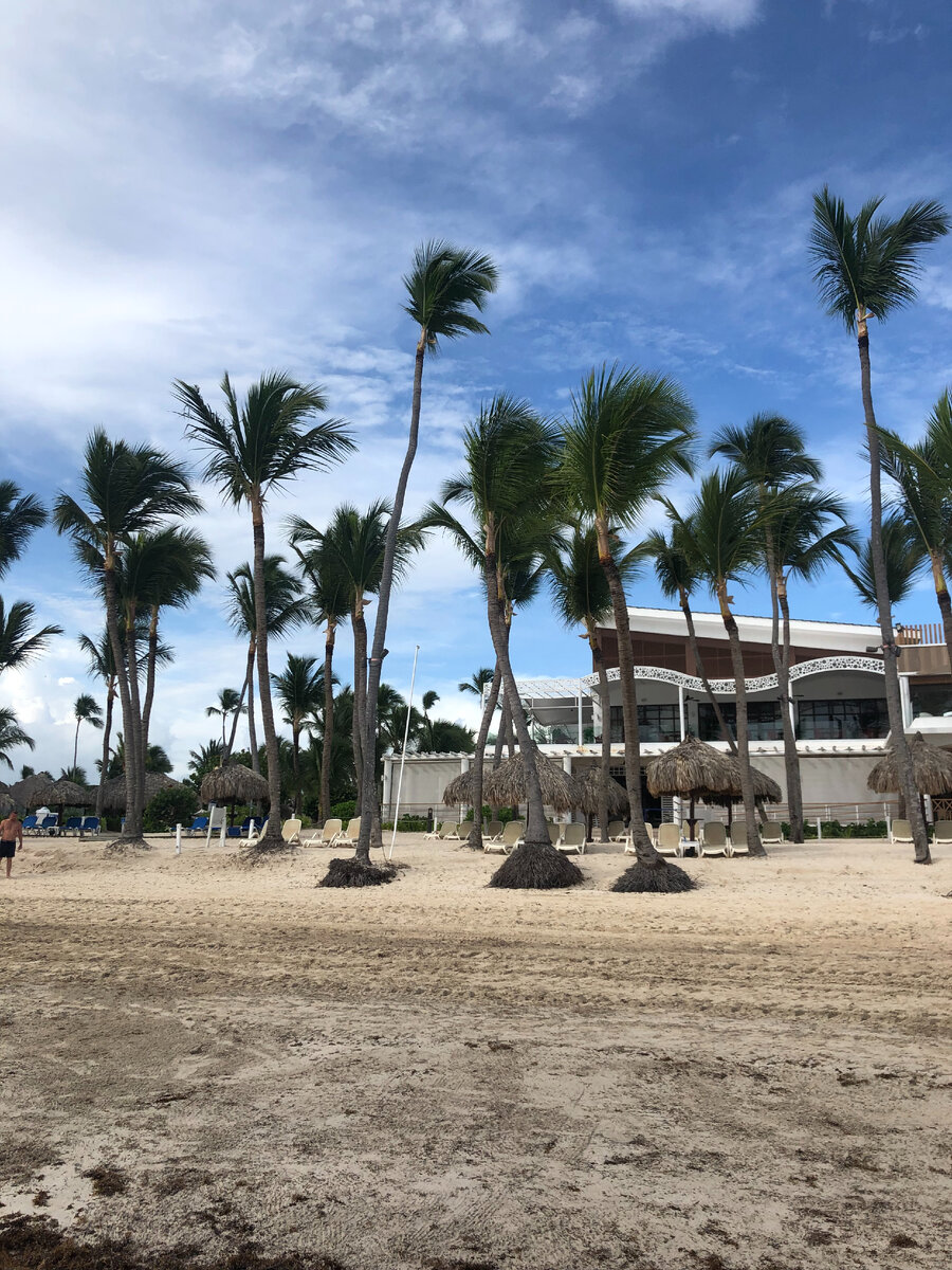 личное фото автора