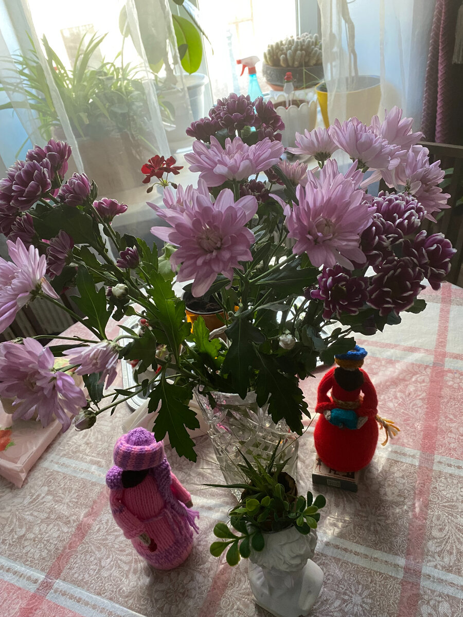 Хризантемы