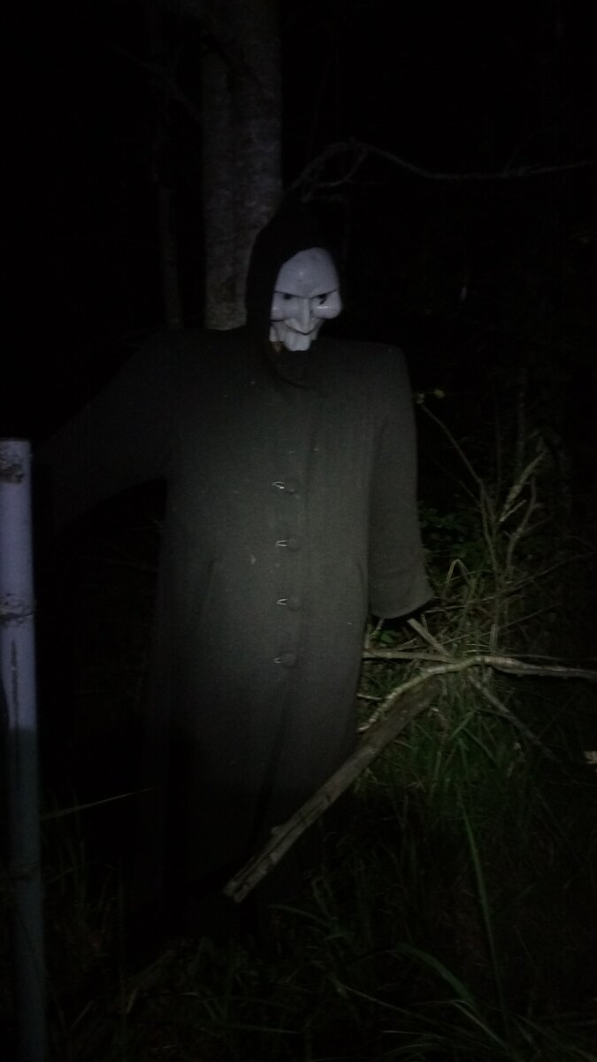 Неожиданности ночного леса | Спасатели Экстремум | Дзен