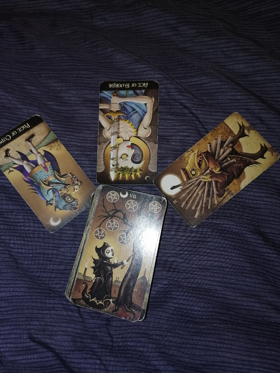 Фото автора.