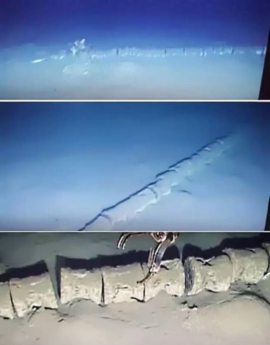Чей это может быть скелет?
Источник фото: https://x-files.site/images/news/82/5/1/skelsredn_2_t5.jpg