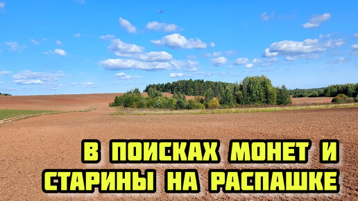 В поисках монет и старины на распашке