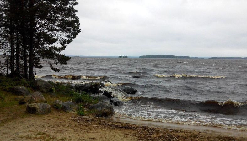 Сямозеро цвет воды коричневый почему