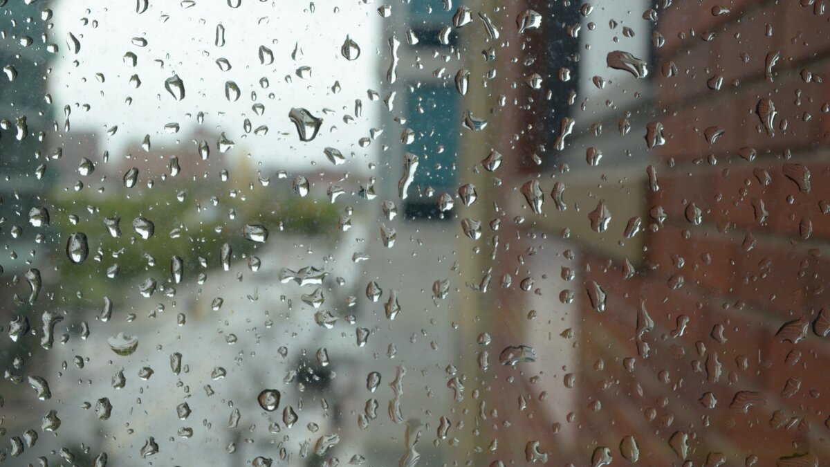     Экстренные службы Ростова переведены в режим повышенной готовности из-за надвигающейся непогоды, сообщили в администрации города.