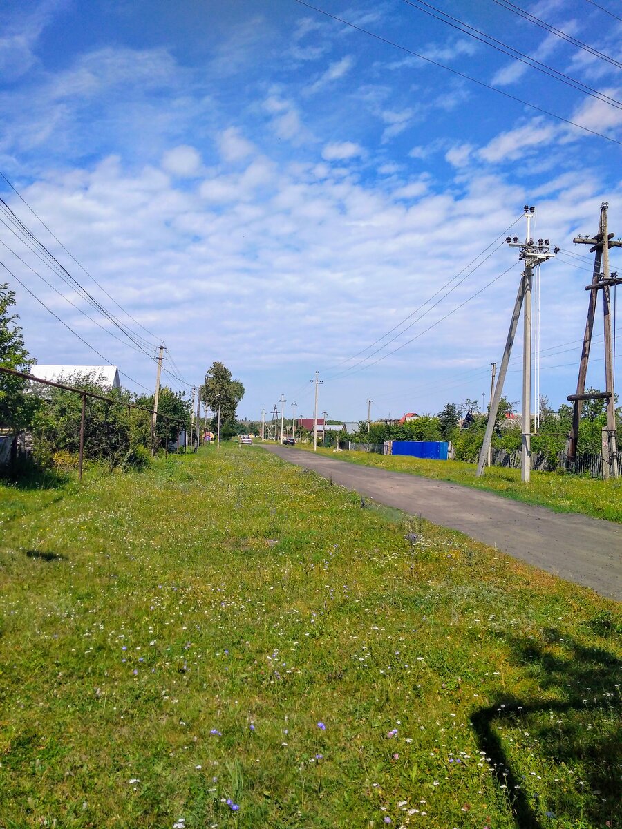 Никольское на Черемшане в Ульяновской области. Красивое село на берегу  Куйбышевского водохранилища. | Заметки на полях | Дзен