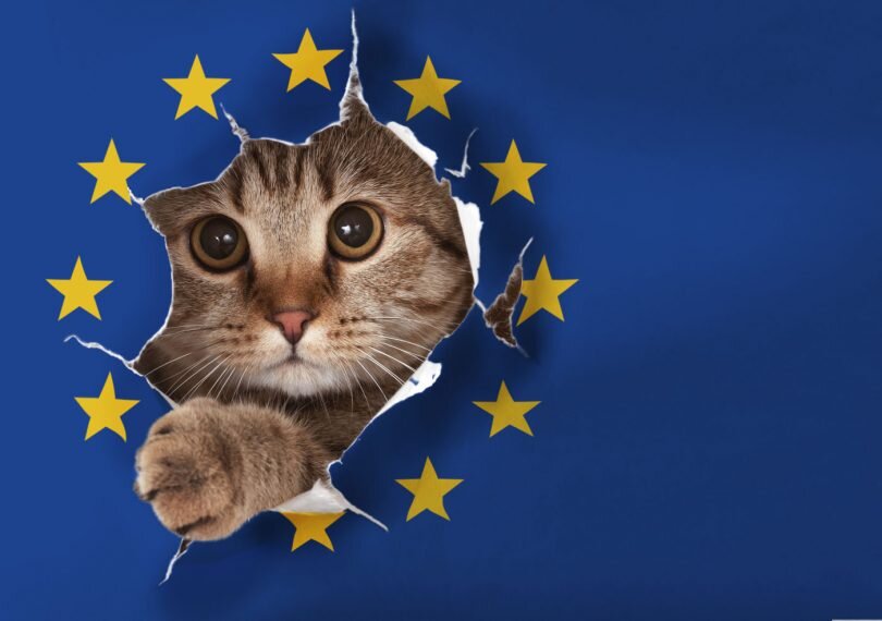 Фото:   briefingsforbrexit.com