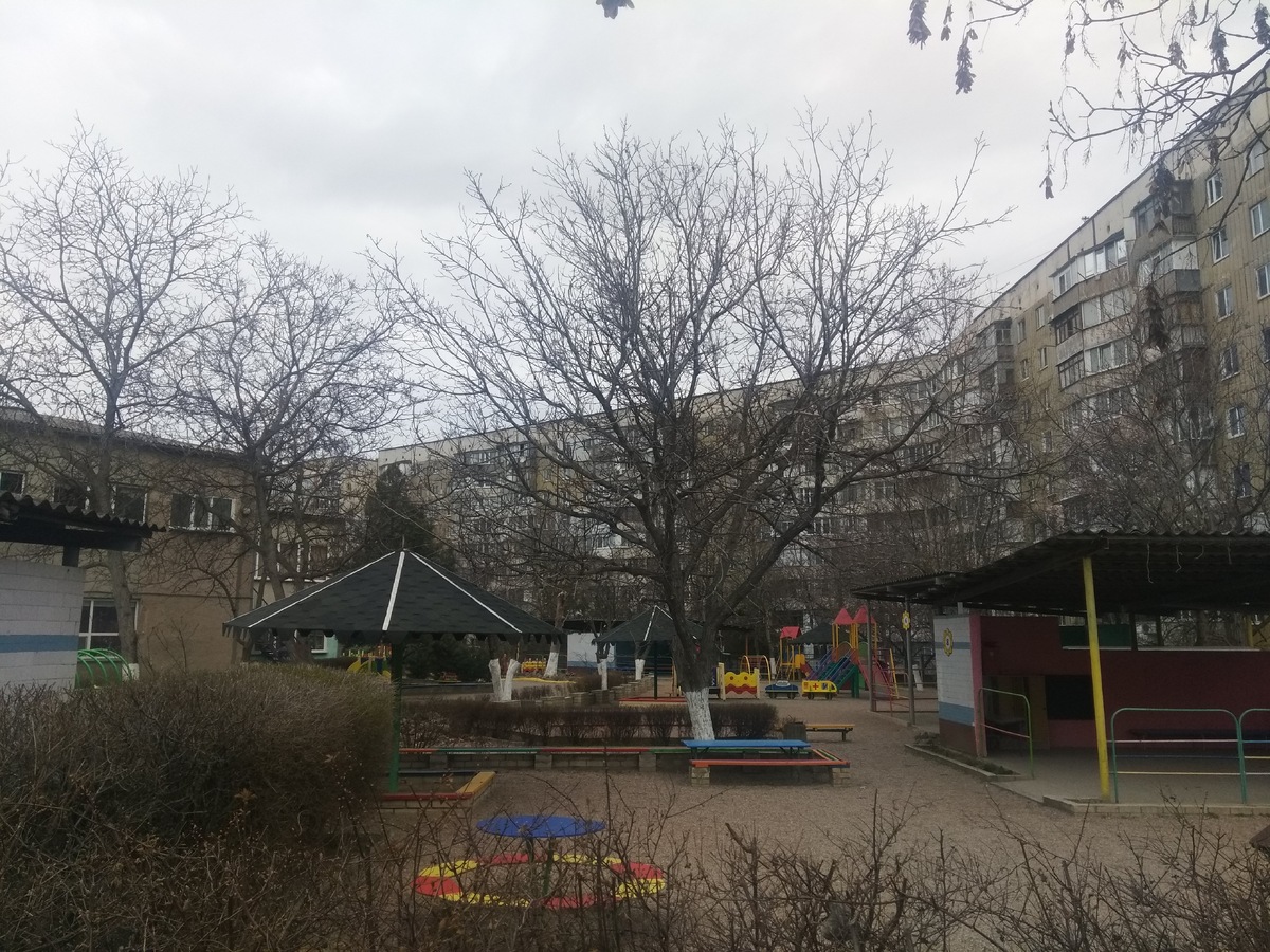 Площадки для прогулок в том самом саду
