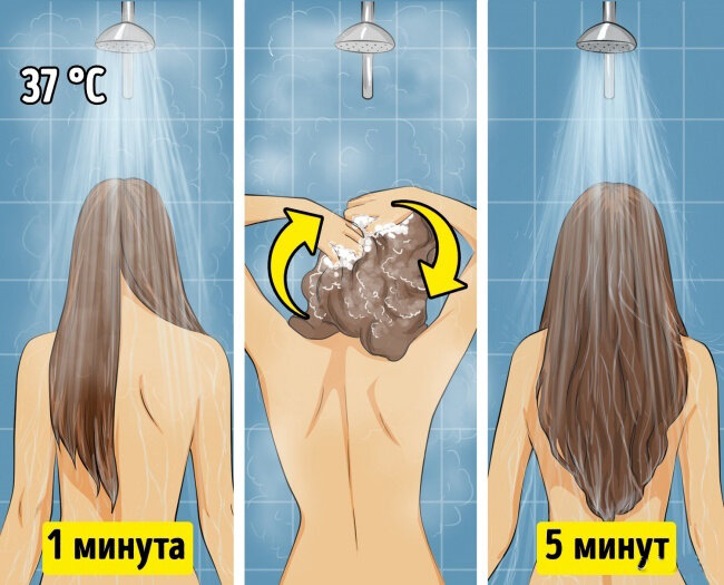 Стилисты советуют учитывать 9 правил, чтобы волосы оставались чистыми и  объемными дольше | Фаня Маня | Дзен