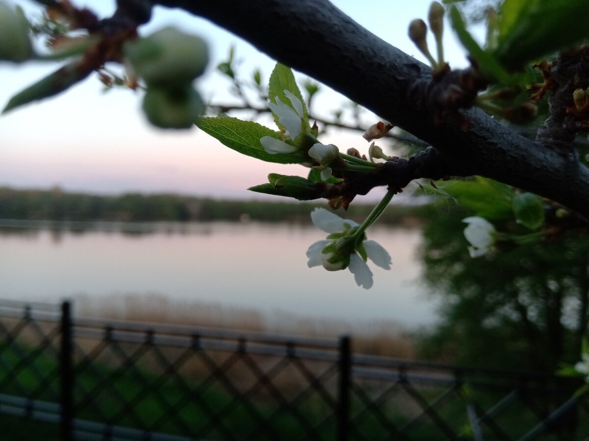 Фото автора истории