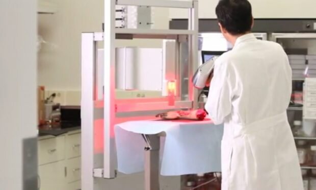 На снимке: скриншот Институт регенеративной медицины Уэйк Фореста (WFIRM) Рану руки Дамми измеряют перед печатью.