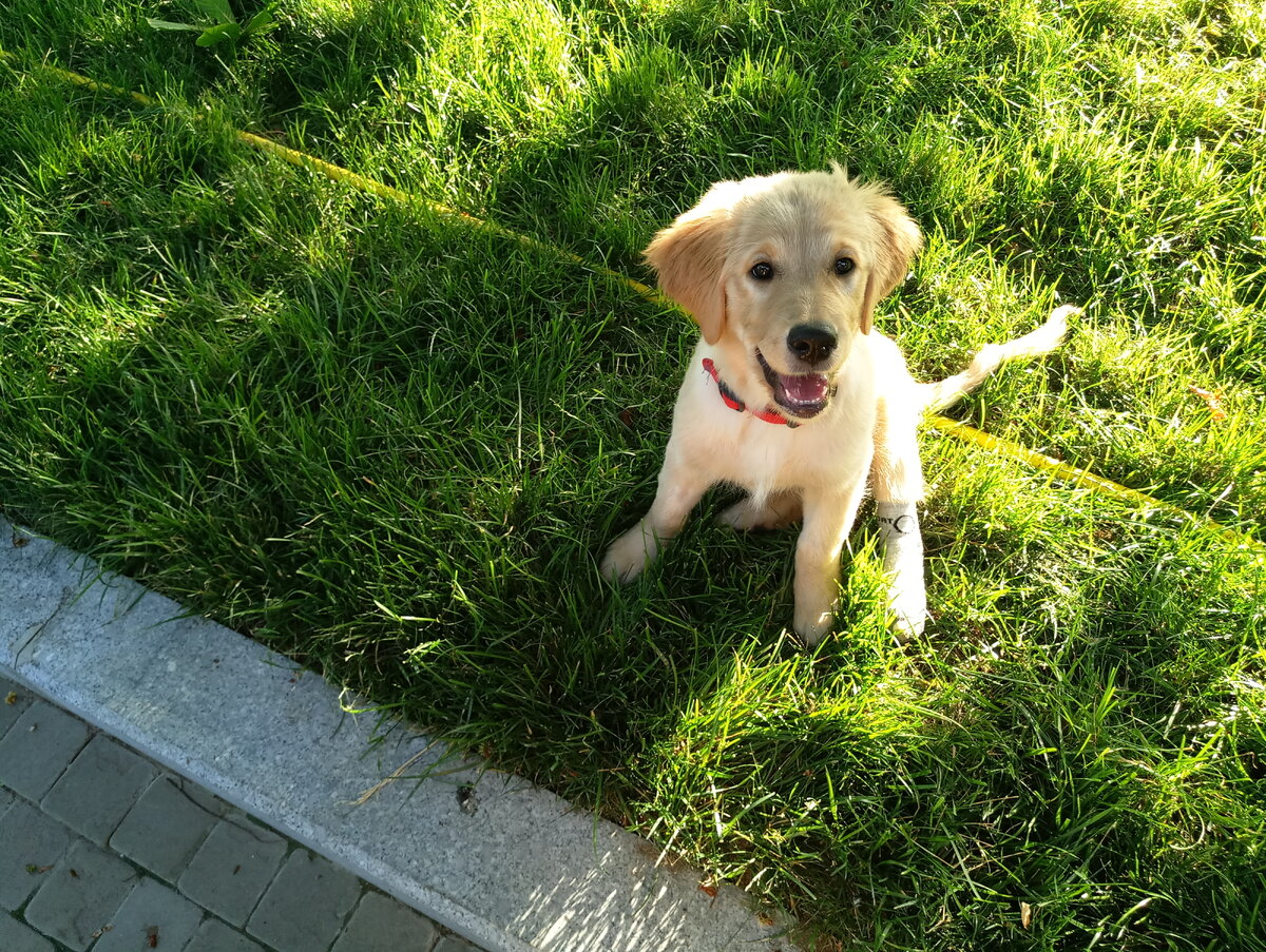 Лялька в носке на прогулке