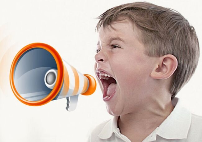 Фото из Гугла 