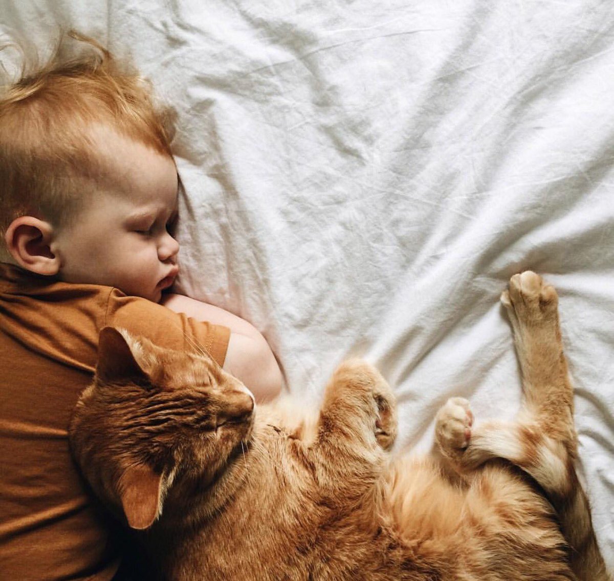 Человек и кошка вместе. Дети и коты. Кот для детей. Коты и малыши. Кот и младенец.