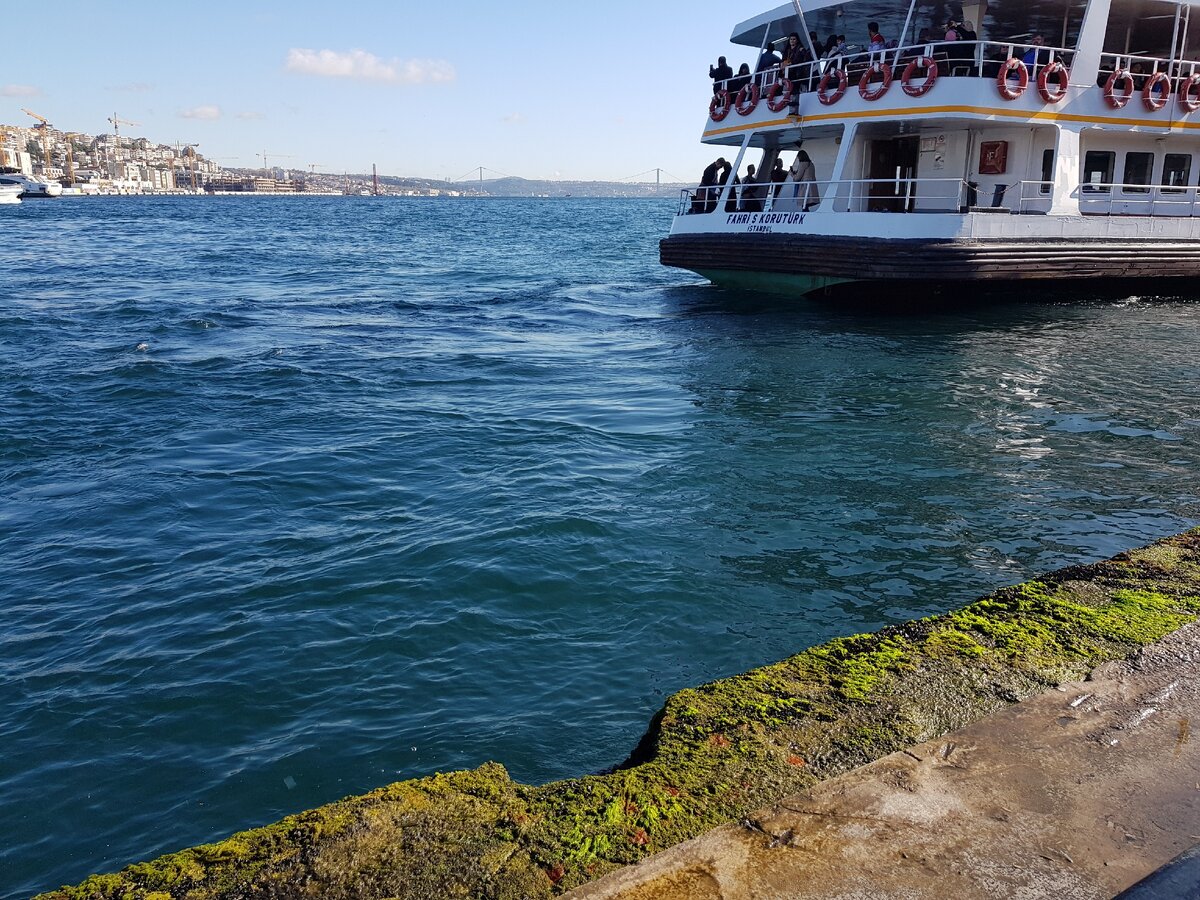 отдать швартовы...