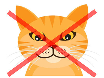 Не позволяйте животным портить вещь!