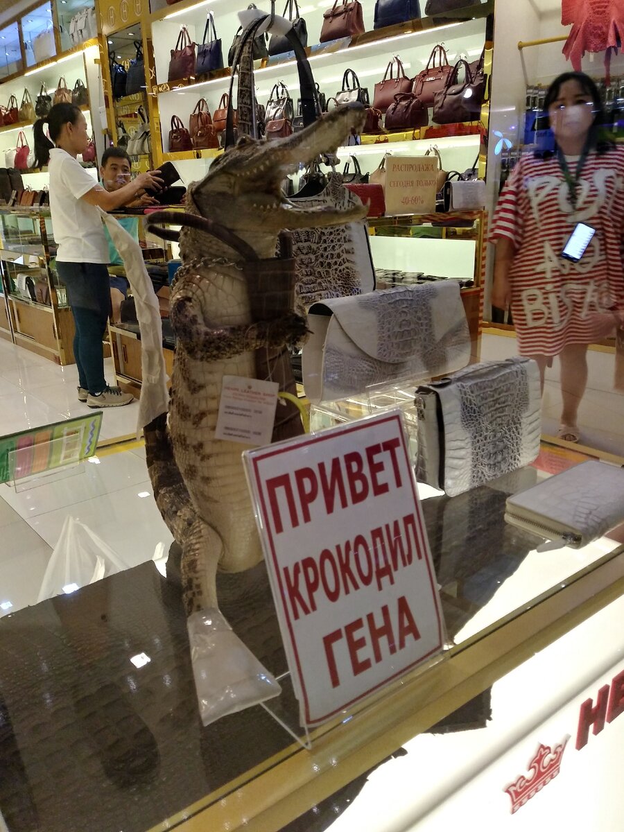 Дизайн тайской витрины.