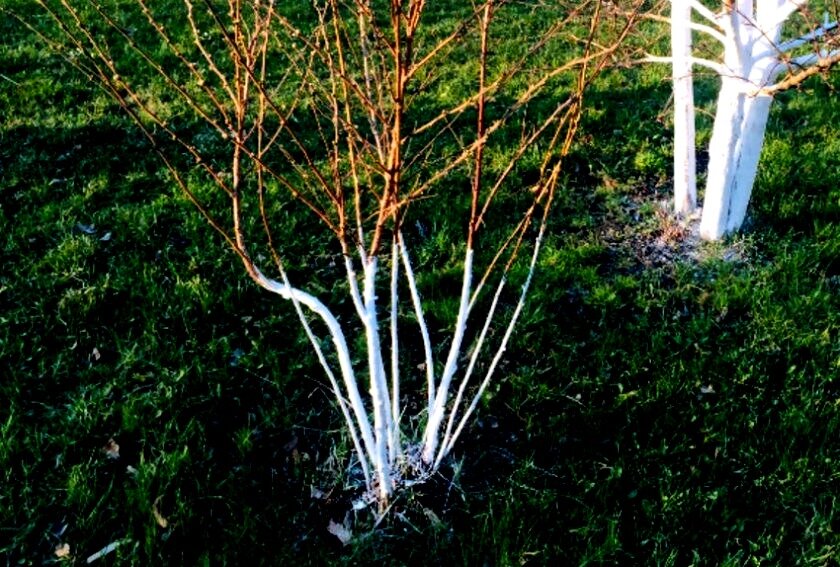 Вот для чего это?