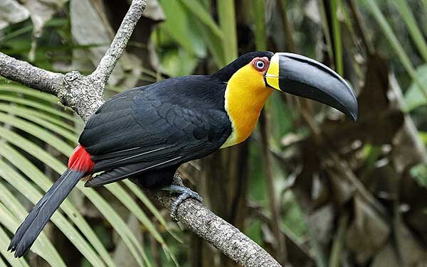 Источник фото: hiveminer.com