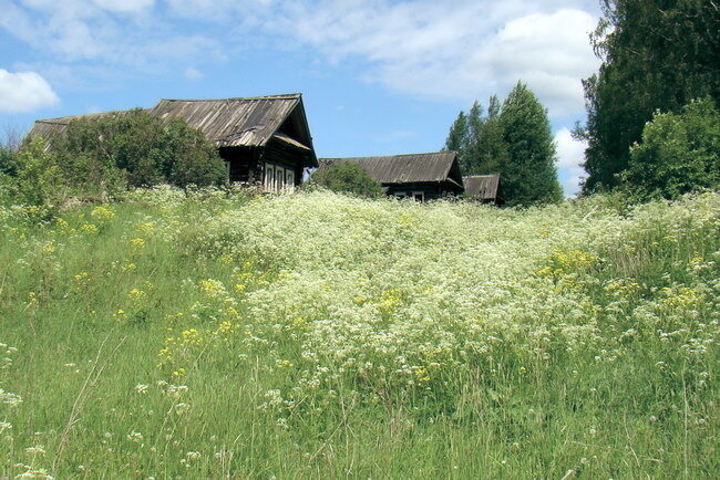 Примерно так, выглядят деревни в Сибири, которые находятся далеко от городов.