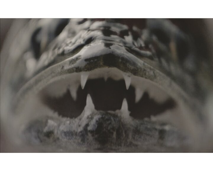 Чернобыль, СССР, Украина, История, Последствия, Радиация, Топ, Наука, Мифы