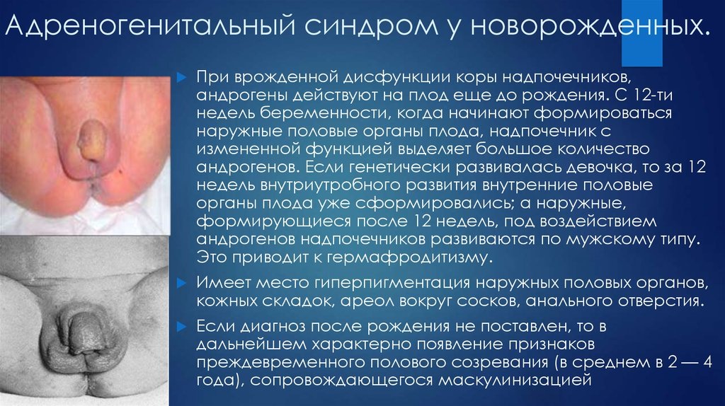 Фото взято из интернета