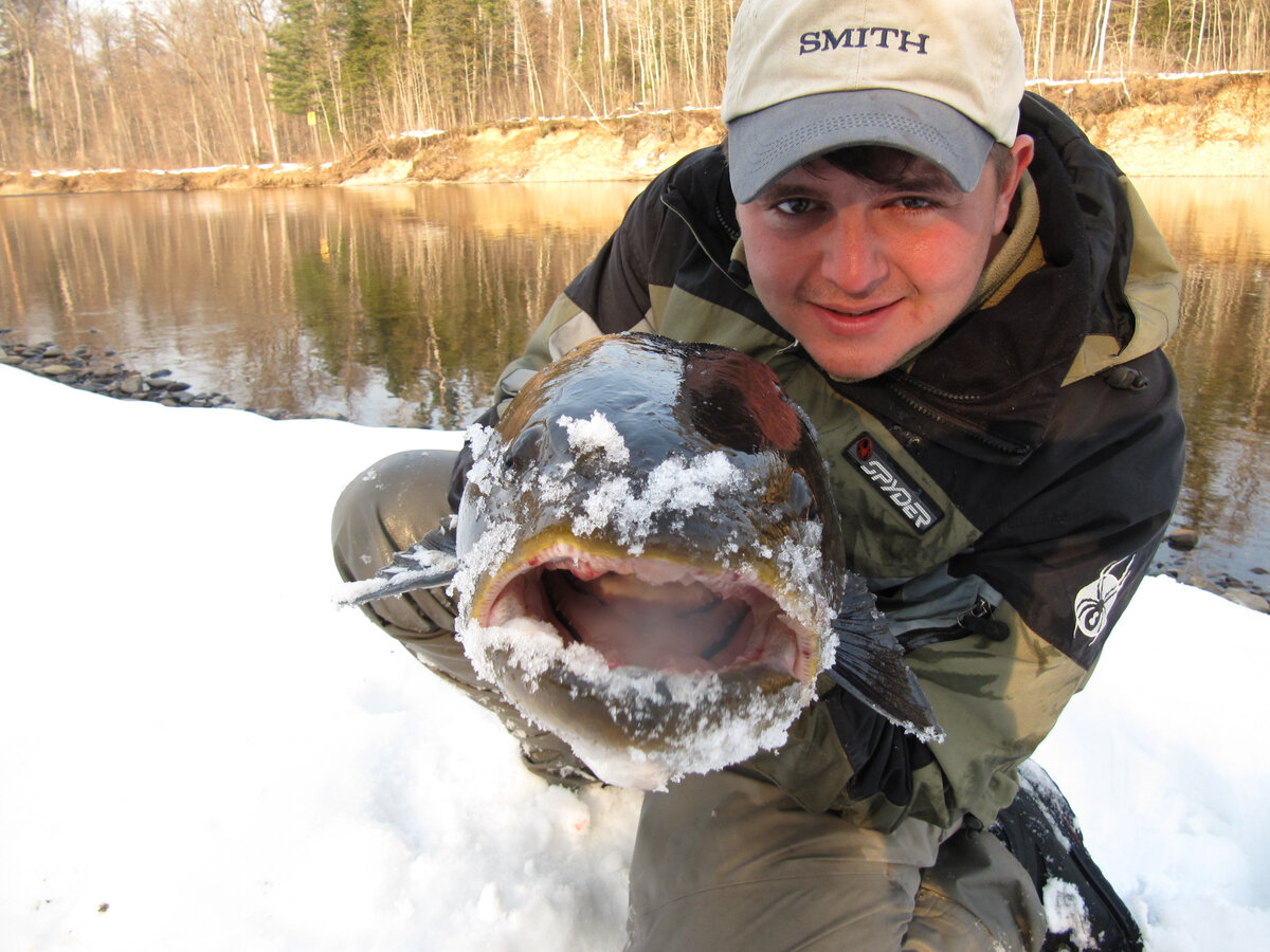 Пасть тайменя