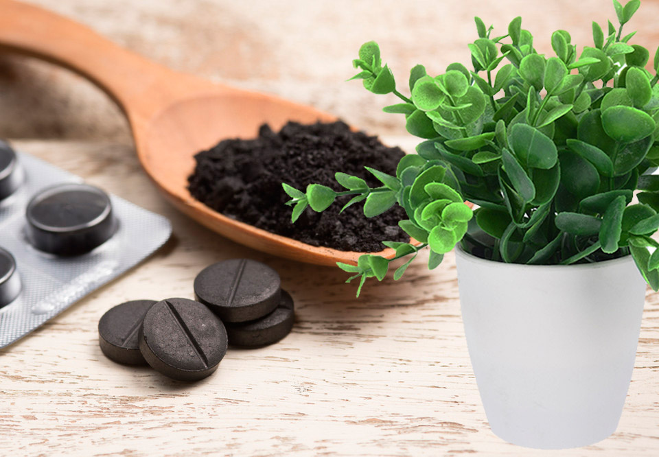 Активированный уголь для цветов