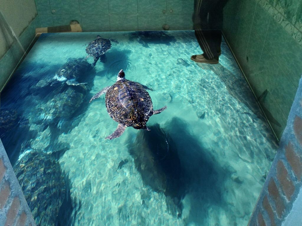 Источник изображения: https://varlamov.ru/2500924.html