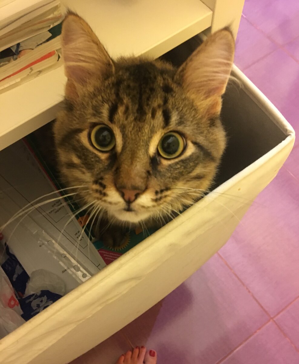 снова попку мыть!??