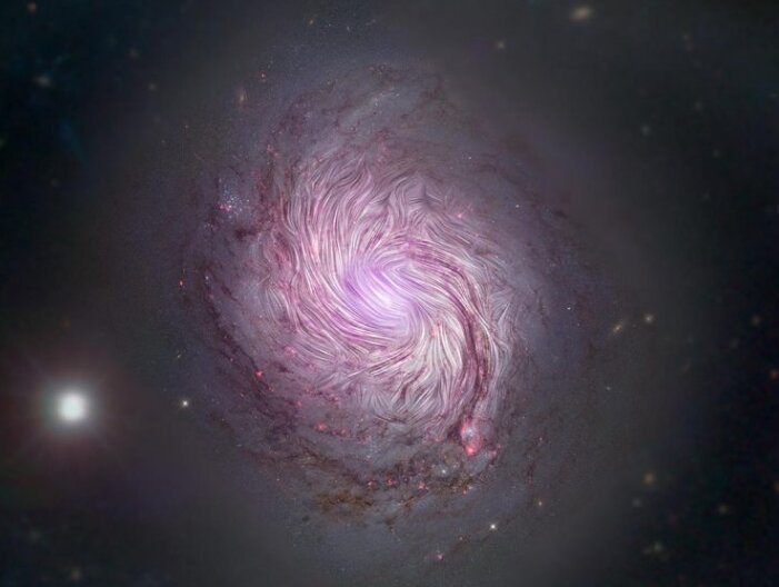 Магнитные поля в NGC 1086, или M77, показаны в виде потоковых линий над видимым световым и рентгеновским композитным изображением галактики с космического телескопа Хаббла, ядерной спектроскопической матрицы и цифровой аэрофотосъемки неба Слоана. Магнитные поля выравниваются по всей длине массивных спиральных рукавов - 24 000 световых лет в поперечнике (0,8 килопарсека), что означает, что силы гравитации, создавшие форму галактики, также сжимают ее магнитное поле. Это подтверждает ведущую теорию того, как спиральные рукава вынуждены принимать свою знаковую форму, известную как "теория волн плотности". SOFIA изучала галактику, используя дальний инфракрасный свет (89 мкм) для выявления граней ее магнитных полей, которые предыдущие наблюдения с помощью визуальных и радиотелескопов не смогли обнаружить. 
