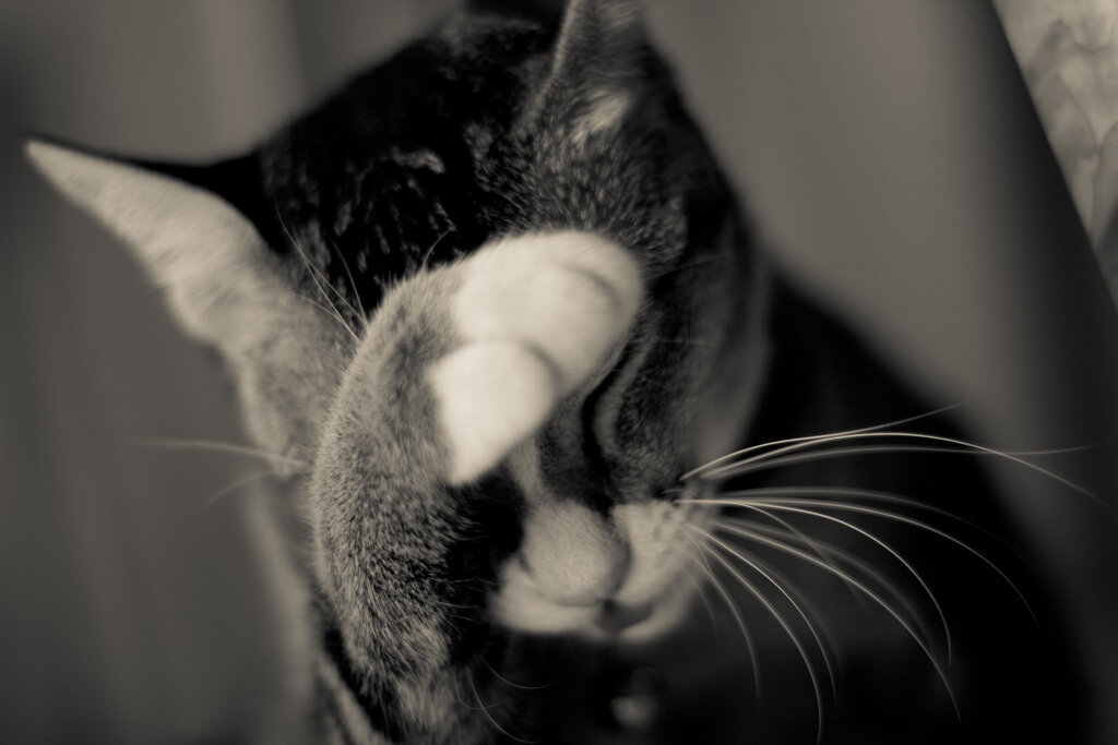 О боги, зачем я все это читала?