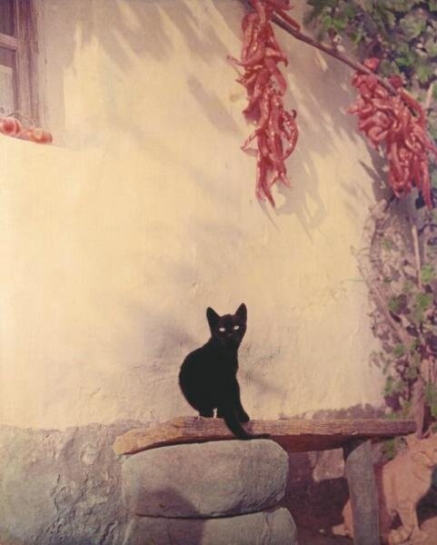 Дмитрий Бальтерманц, 1960-е, МАММ/МДФ.