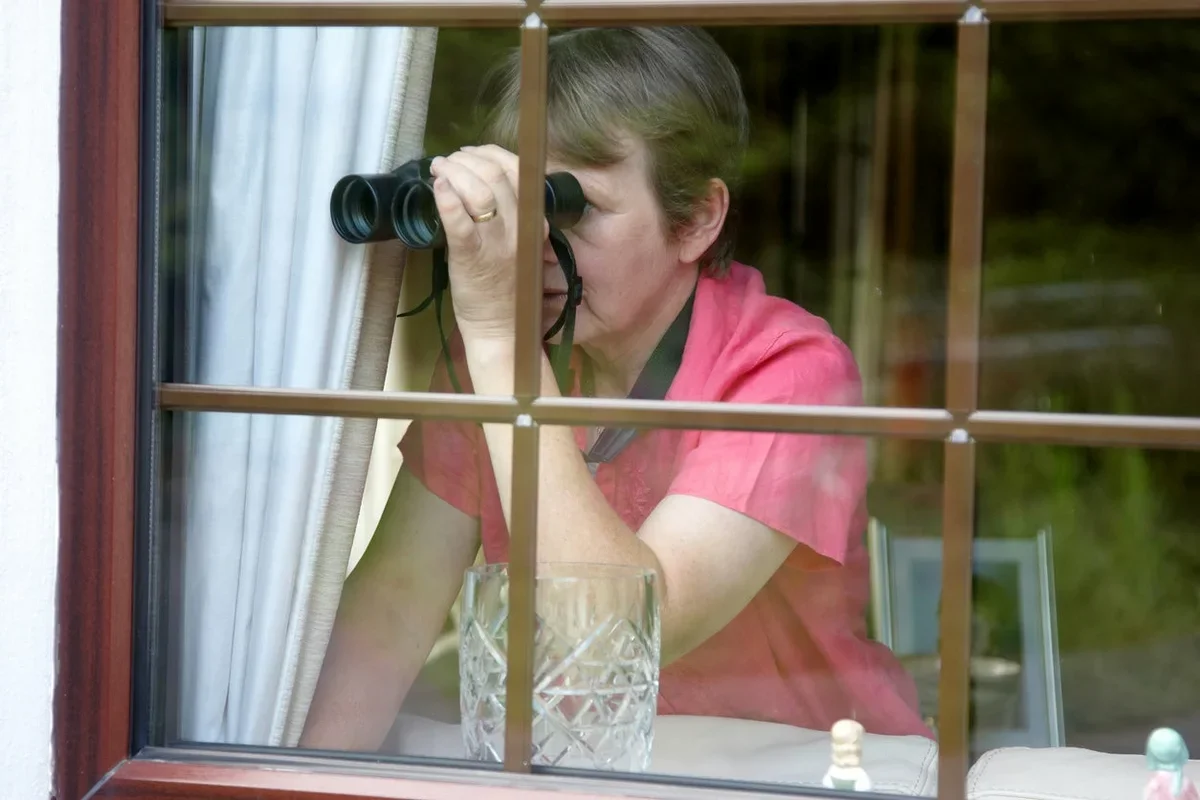 Peek in my window видео. Заглядывает в окно. Подсматривание в окна. Подсмотрел в окошке. Девушка заглядывает в окно.