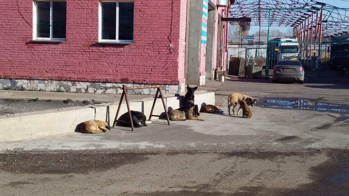 Территория автомойки