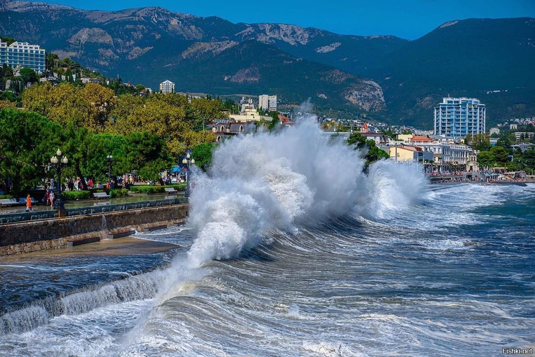 Тори берч лого. Tori black (мишель чапман). Тори блэк instagram. Американский бренд tory burch. Тори эддсворлд арт.