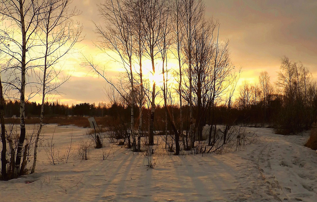 Фото: https://img3.goodfon.ru/wallpaper/nbig/9/87/mart-zarya-vecher-sneg-berezy.jpg