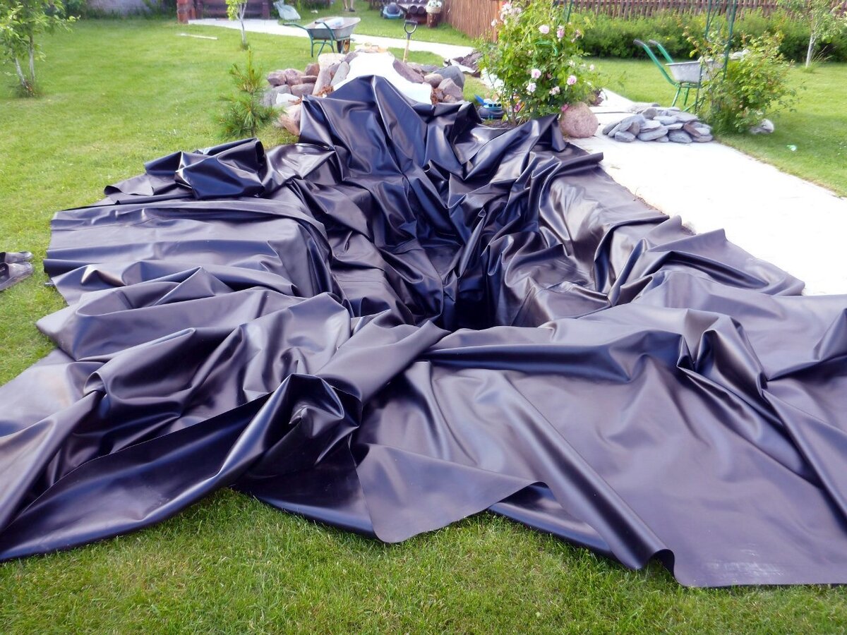 Источник яндекс картинки