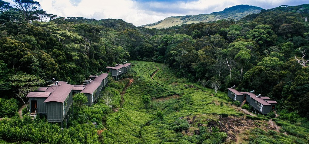 Леса Синхараджа, Шри-Ланка