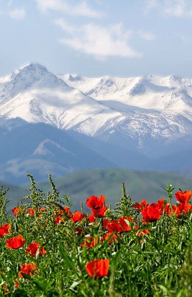 фотография с общедоступного сервиса