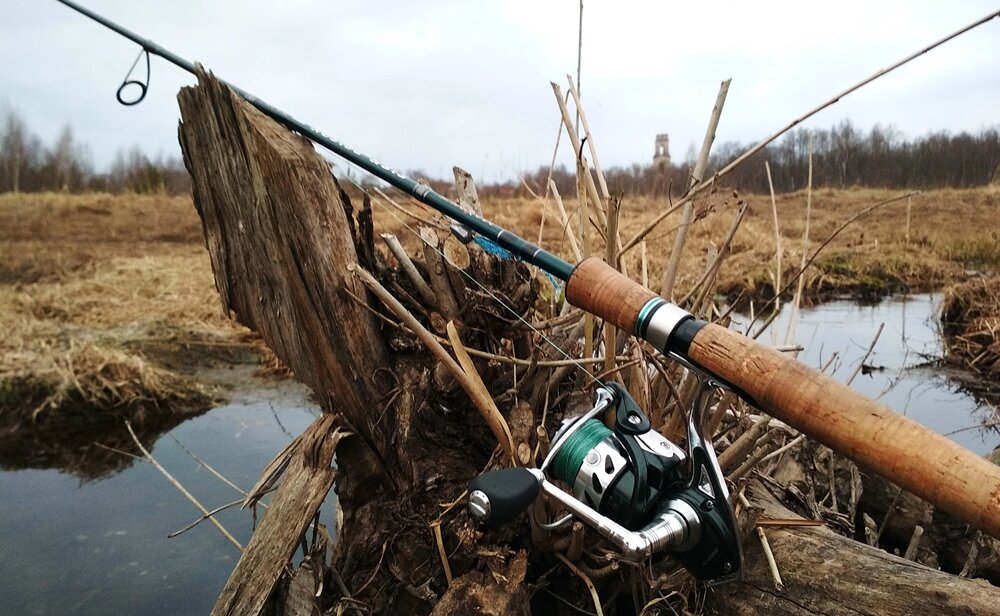 Старый спиннинг борозды не испортит. Обзор двух Maximus Fish Poison