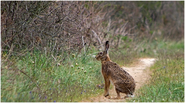 Источник: https://vesti-k.ru/