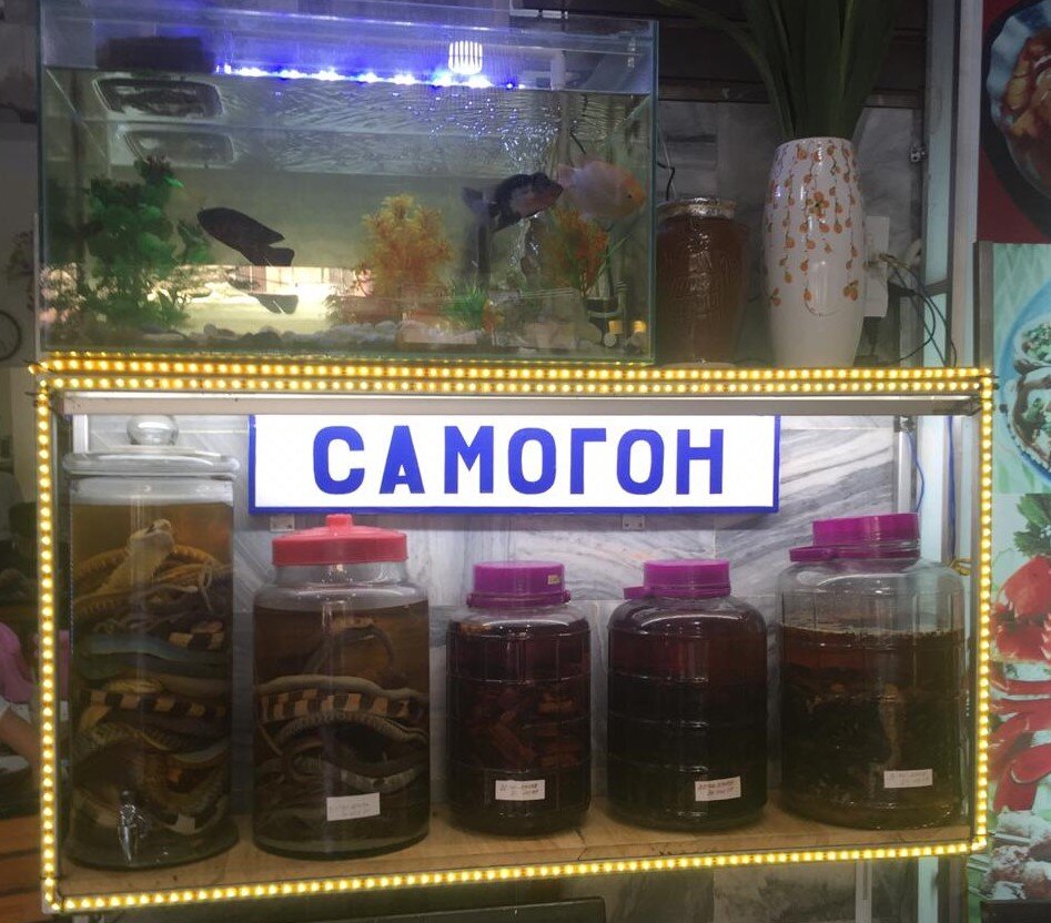 Самогон из змей в одном из вьетнамских баров