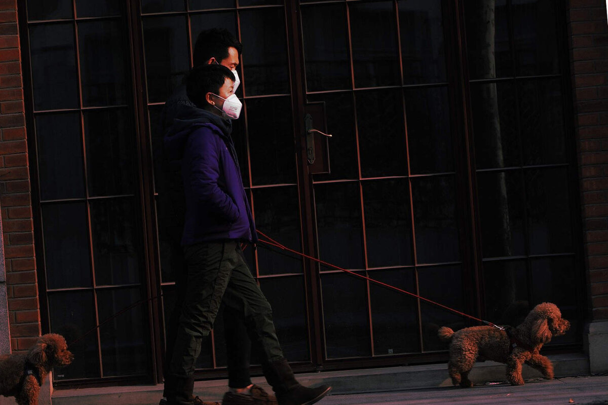 Собаки думают: Вот как мир поменялся, теперь и люди в намордниках.